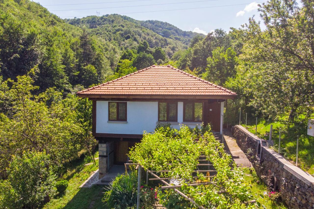 Holiday Home Lyubovo Gabrovo Exterior photo